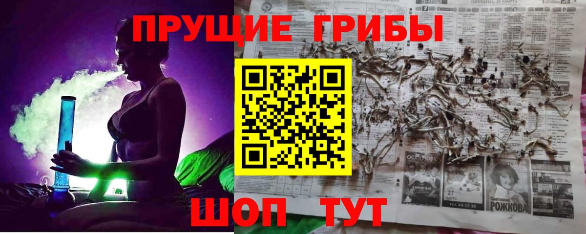 Гусиноозёрск  Галлюциногенные грибы ЛСД  Вход с VPN 